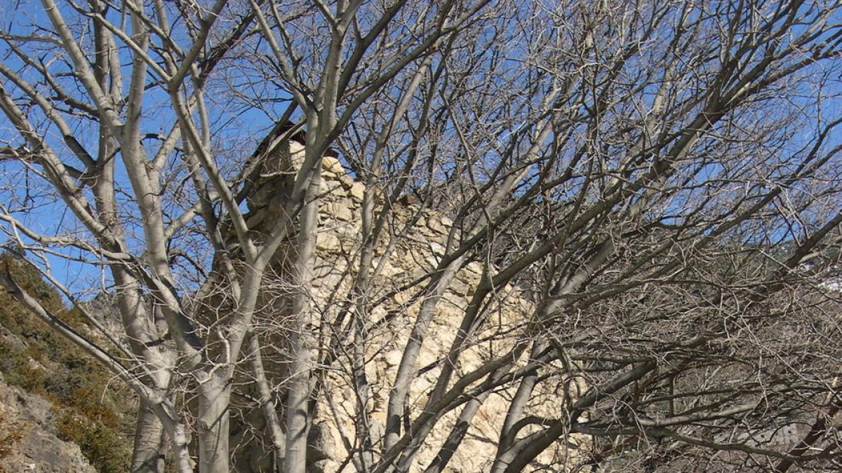 Colomer de Rocafort que serà restaurat