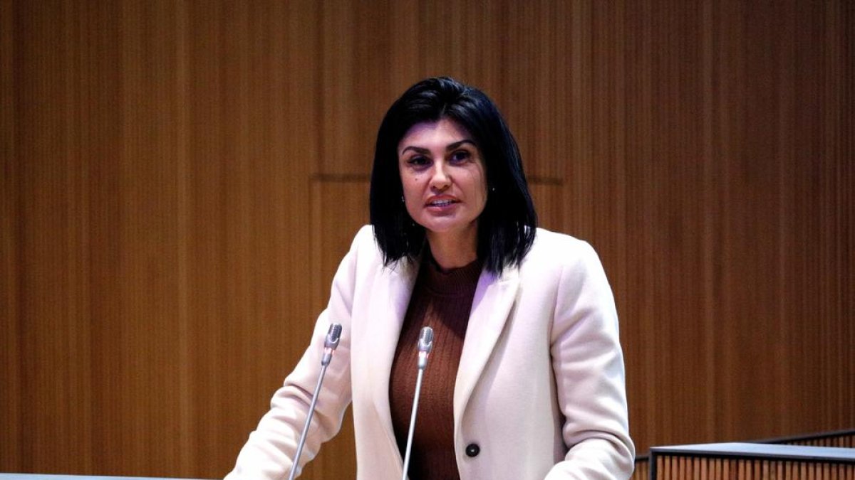 La consellera Carine Montaner al Consell General