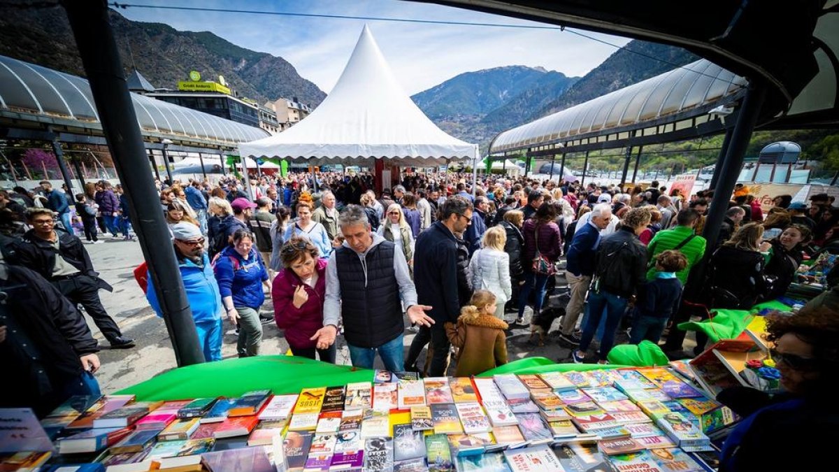 Les activitats de la diada de Sant Jordi.