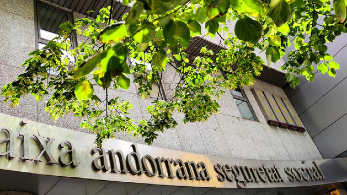 La CASS va va anunciar fa uns dies una codificació pròpia per a la fibromiàlgia.
