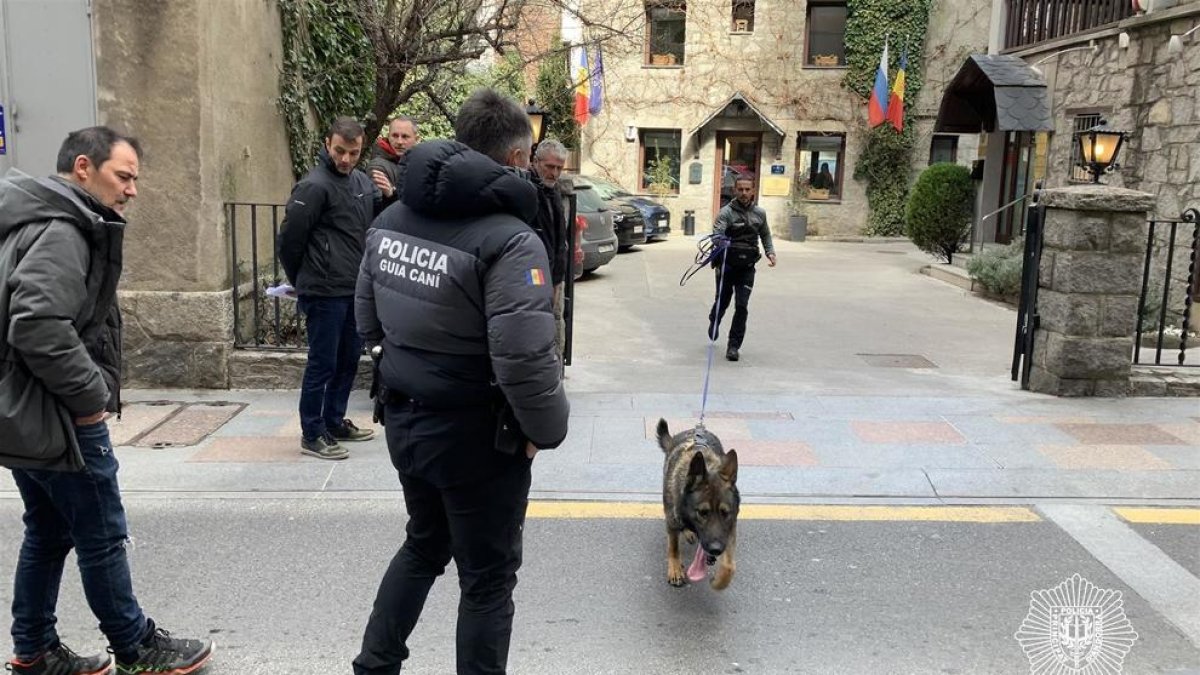 Un guia caní i un gos de la policia treballant el rastre urbà