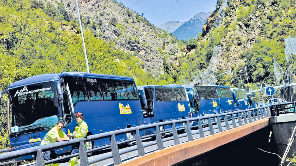 Diversos autobusos de la companyia.