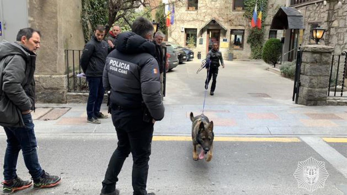 Un guia caní i un gos de la policia fent rastre urbà.