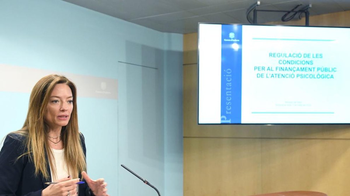 Helena Mas ha presentat les condicions de cobertura d'actes psicològics per la CASS