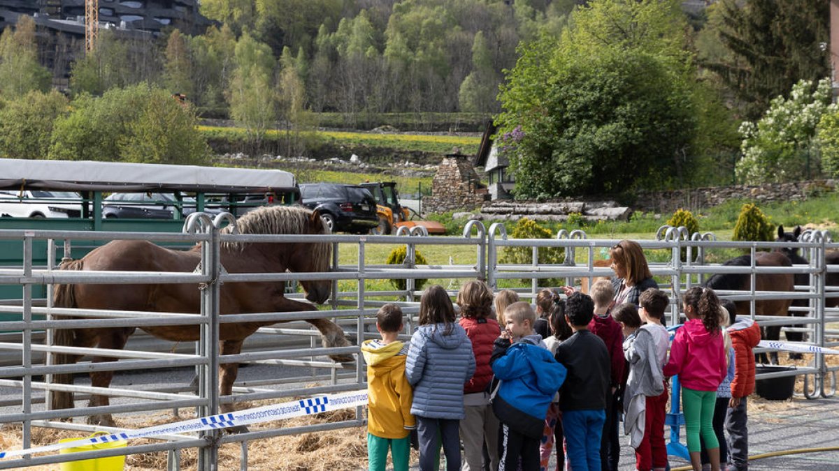 Els escolars visiten la Fira del Bestiar
