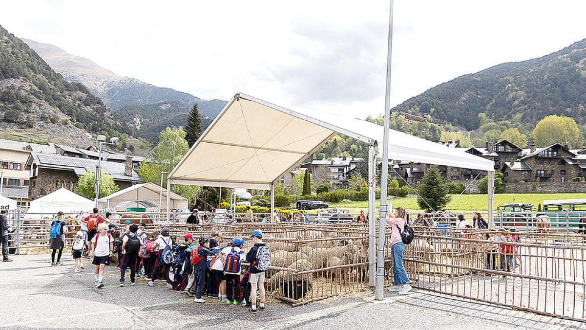 Un grup d'escolars visitant la fira.