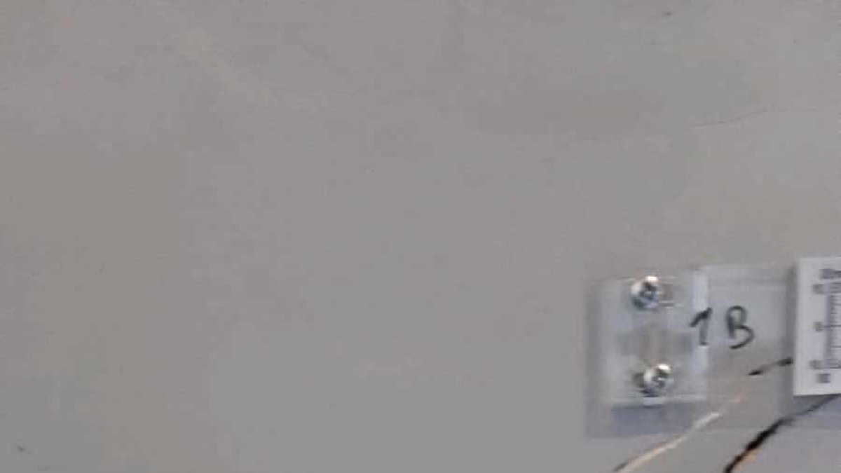 Noves esquerdes a l'edifici desallotjat de l'avinguda Santa Coloma