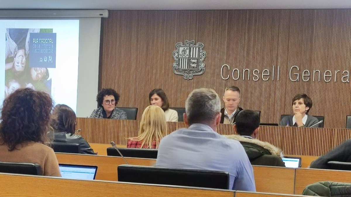 Compareixença Pallarés i Vilarrubla al Consell General
