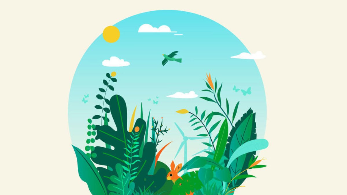 Andorra celebra el Dia internacional dels museus