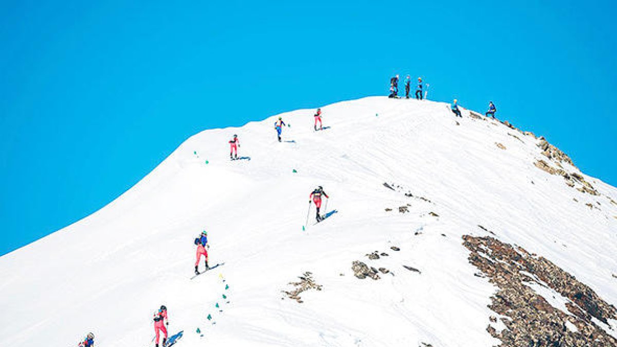 Edició de l'any passat.