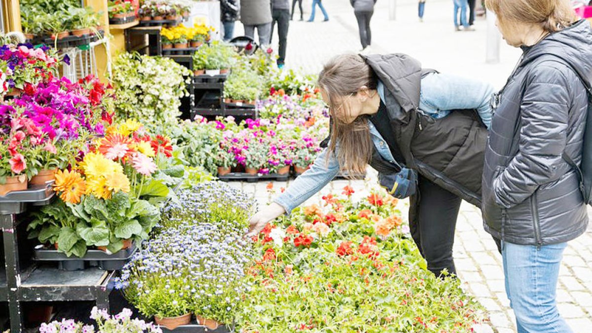 Pe a les Fontetes per l'Andoflora