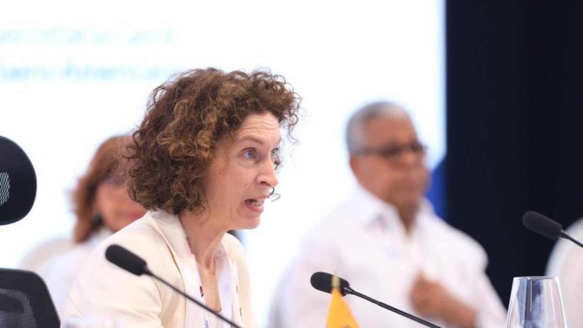 Ubach en la seva intervenció d'avui a la Cimera Iberoamericana