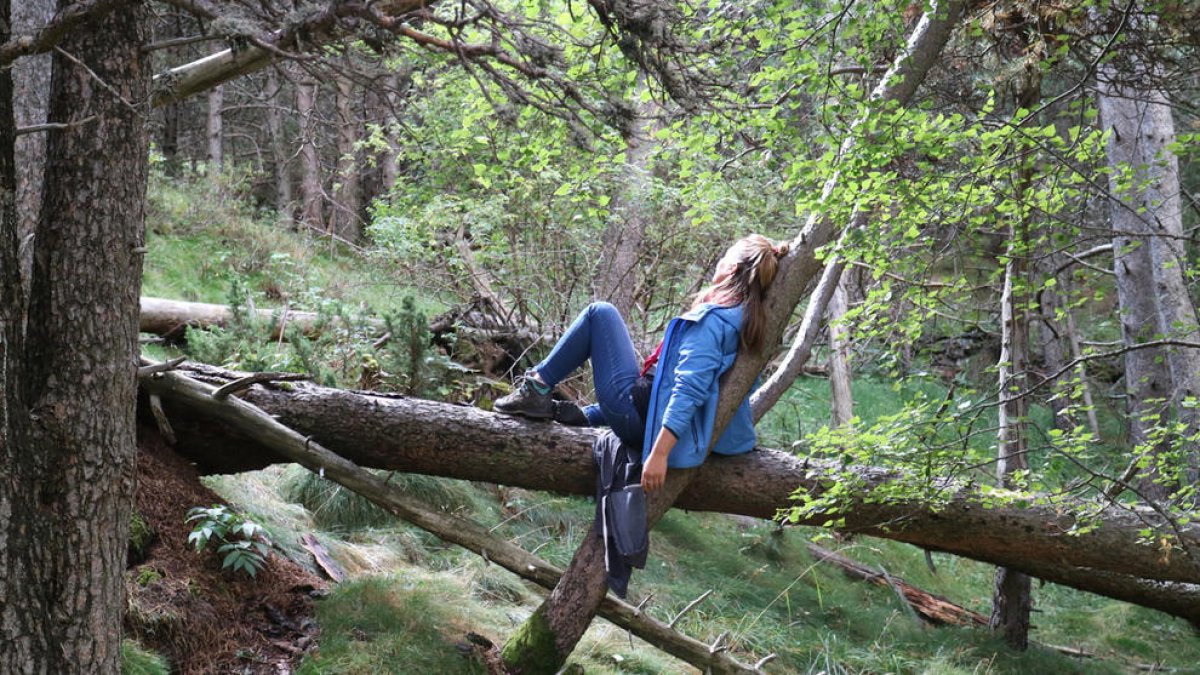 Les dones que han patit violència domèstica es poden aprofitar d'aquesta pràctica.