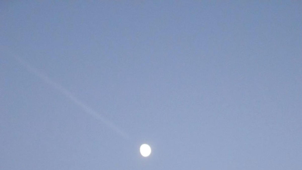 Rafael de Sá, Actor