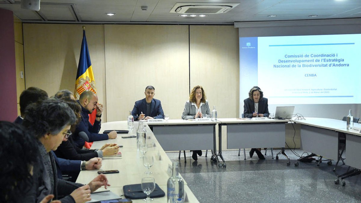 La ministra Calvó presidint la reunió del Cenba.