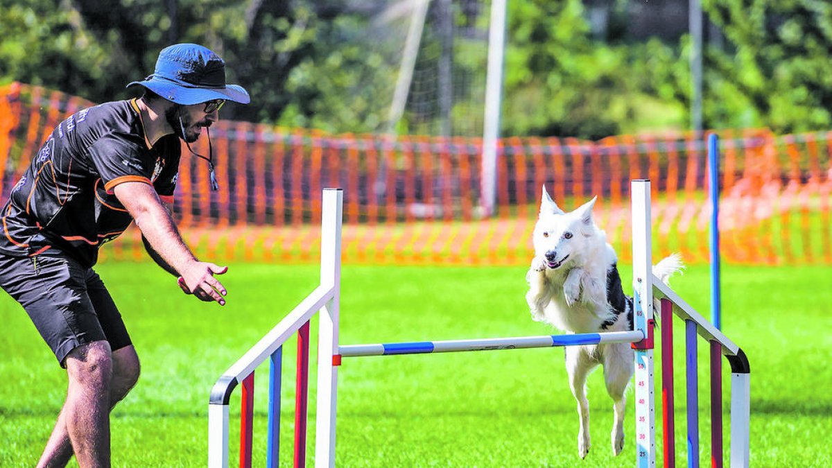 Joao de Melo fent 'agility' amb la seva gossa