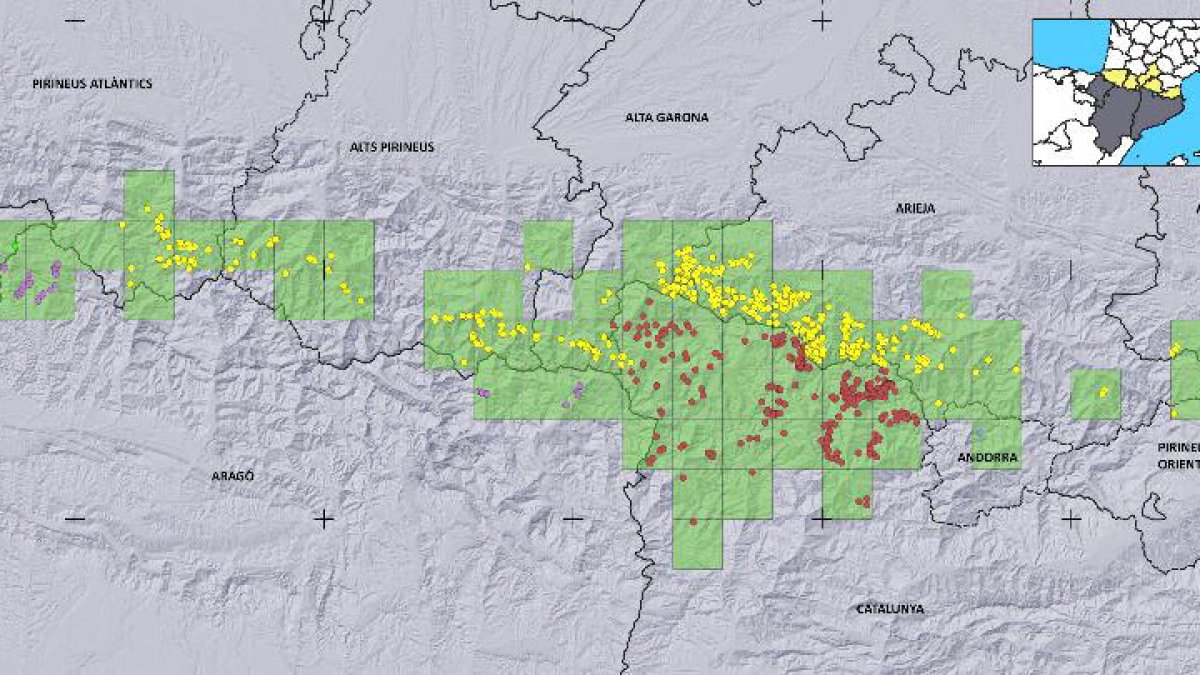 Mapa amb els punts on s'ha registrat presència de l'os bru el 2022.