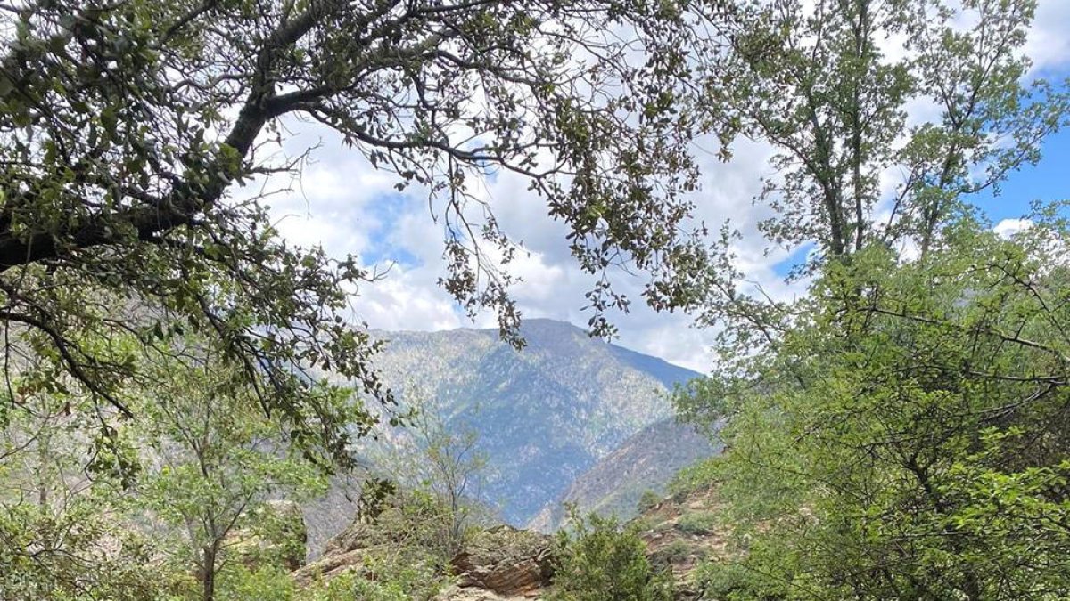 Senyals malmesos a Auvinyà.