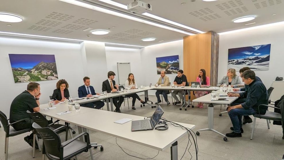 Formació de les comissions legislatives