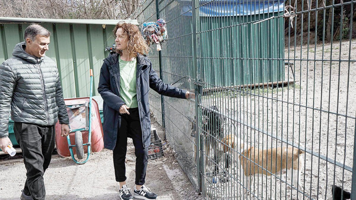 Presentació de la reforma de la gossera.