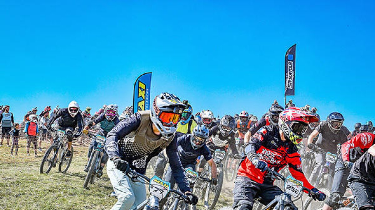 Edició de l'any passat.