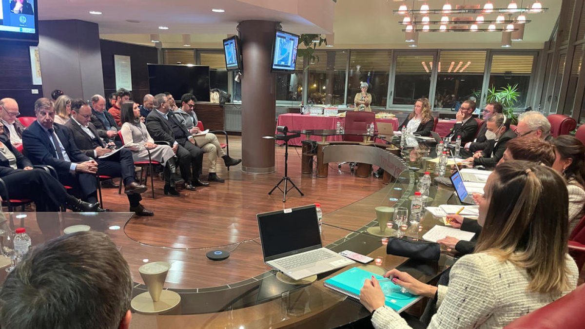 El cap de Govern en funcions va assistir al consell.