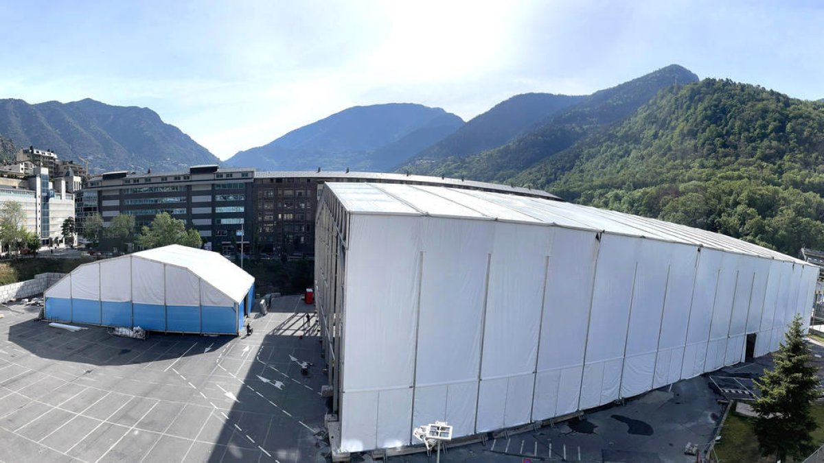Les carpes del Cirque du Soleil.