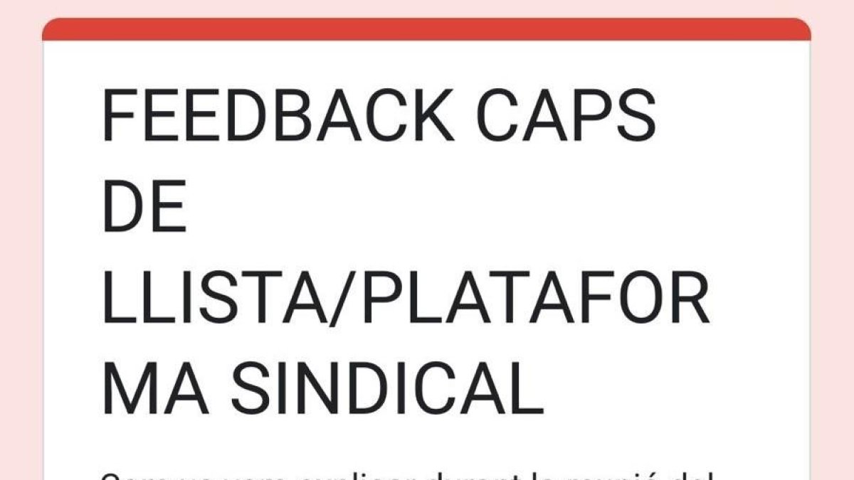 Mostra del qüestionari que s'ha fet arribar als caps de llista