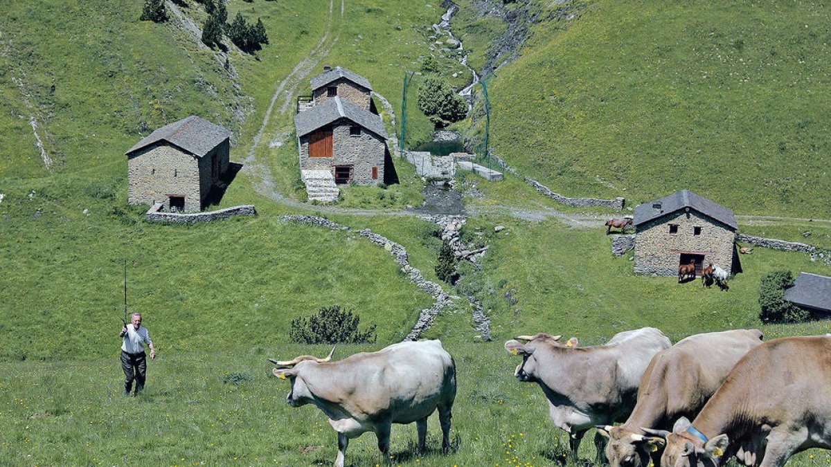 Benedicció de les guardes comunes de Setúria.
