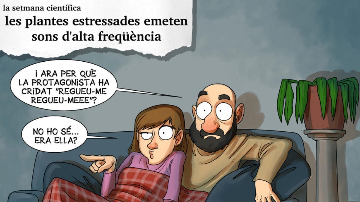 Planellades