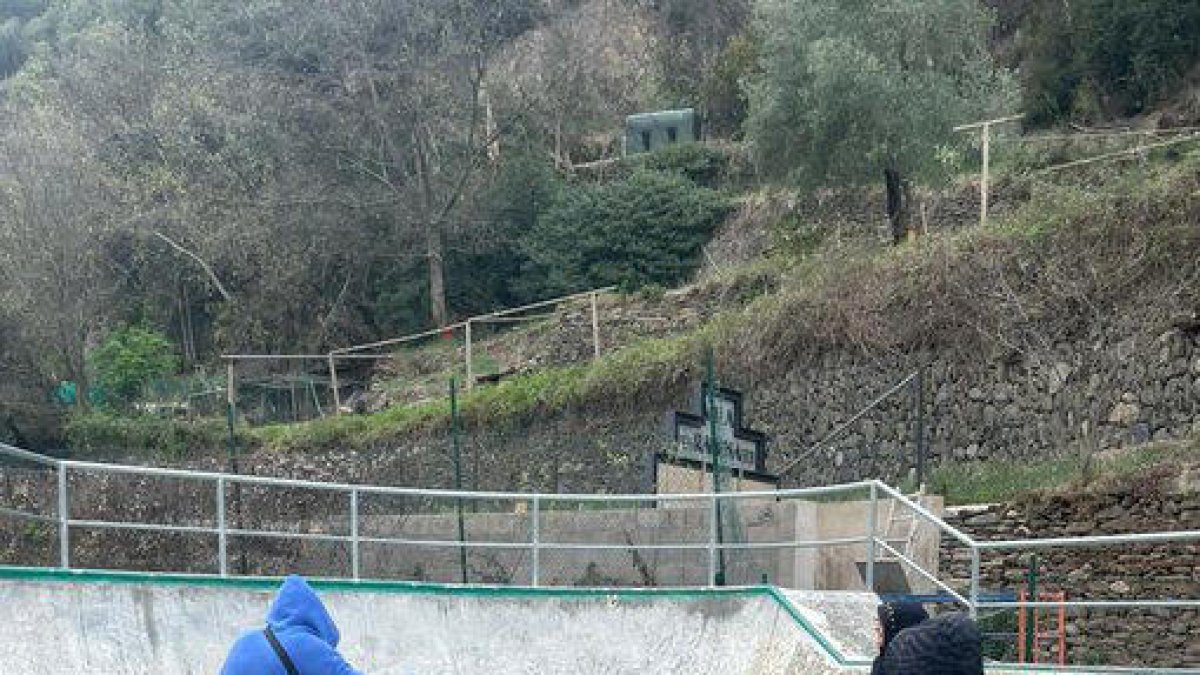 Un grup de participants al taller d''skate'.