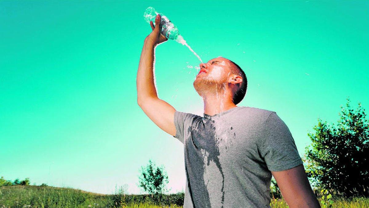 L'estiu passat va estar marcat per les onades de calor