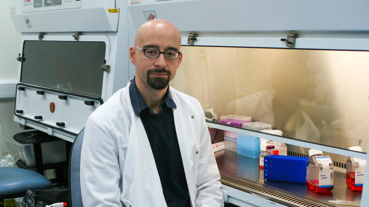 El doctor Macip serà el ponent en la conferència de demà a Escaldes.