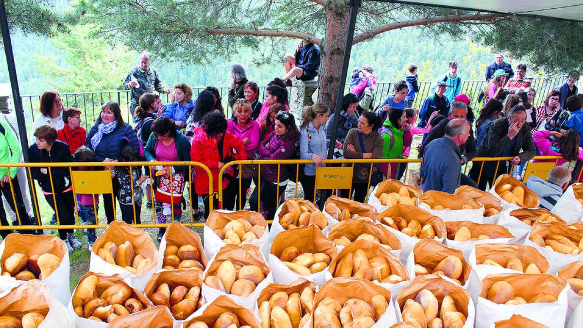 Repartiment dels pans a Canòlich.