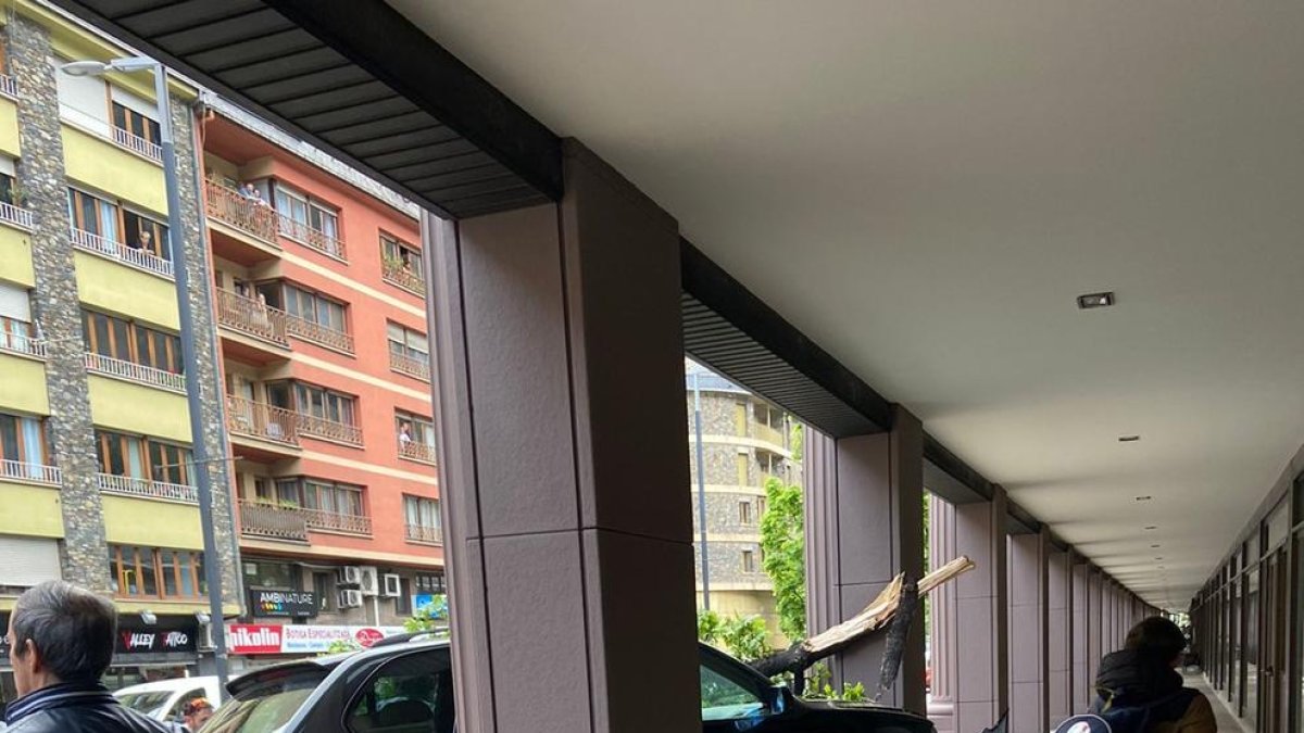 El vehicle ha quedat sobre la vorera