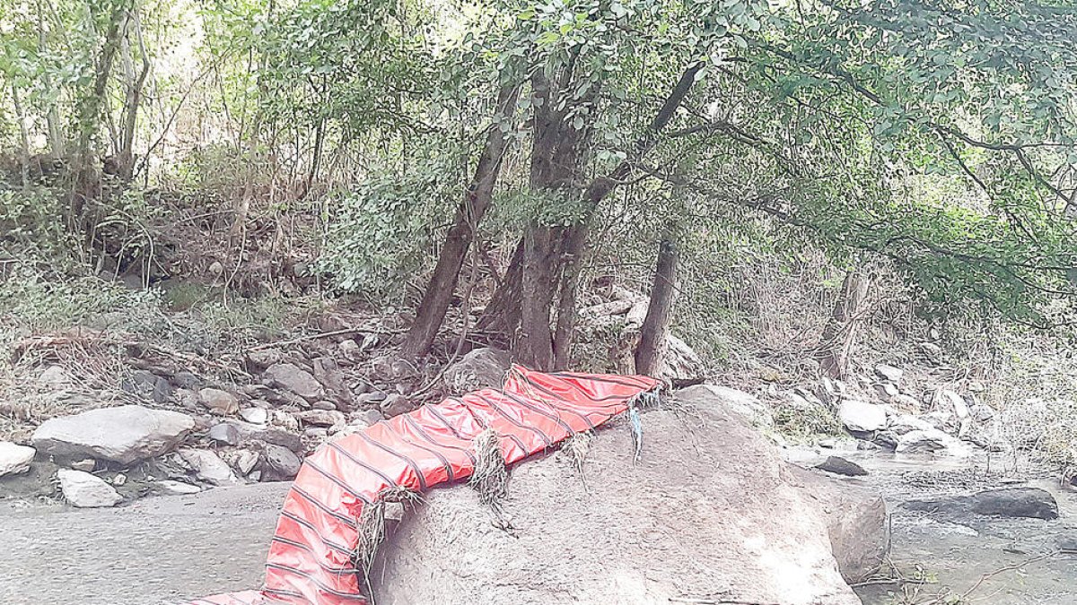 Imatge de la lona vermella desada a la natura