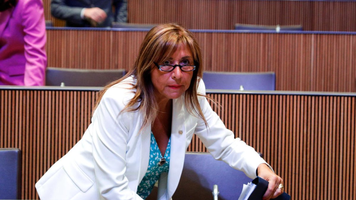 La ministra Conxita Marsol, al Consell General.