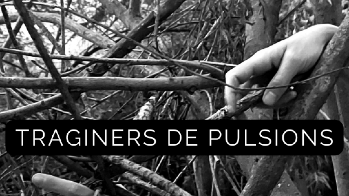 'Traginers de pulsions'