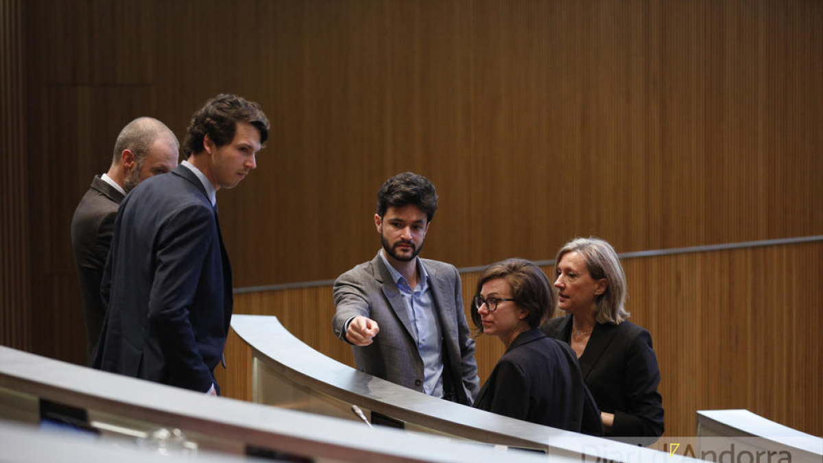 Els parlamentaris de Concòrdia a una sessió de Consell General