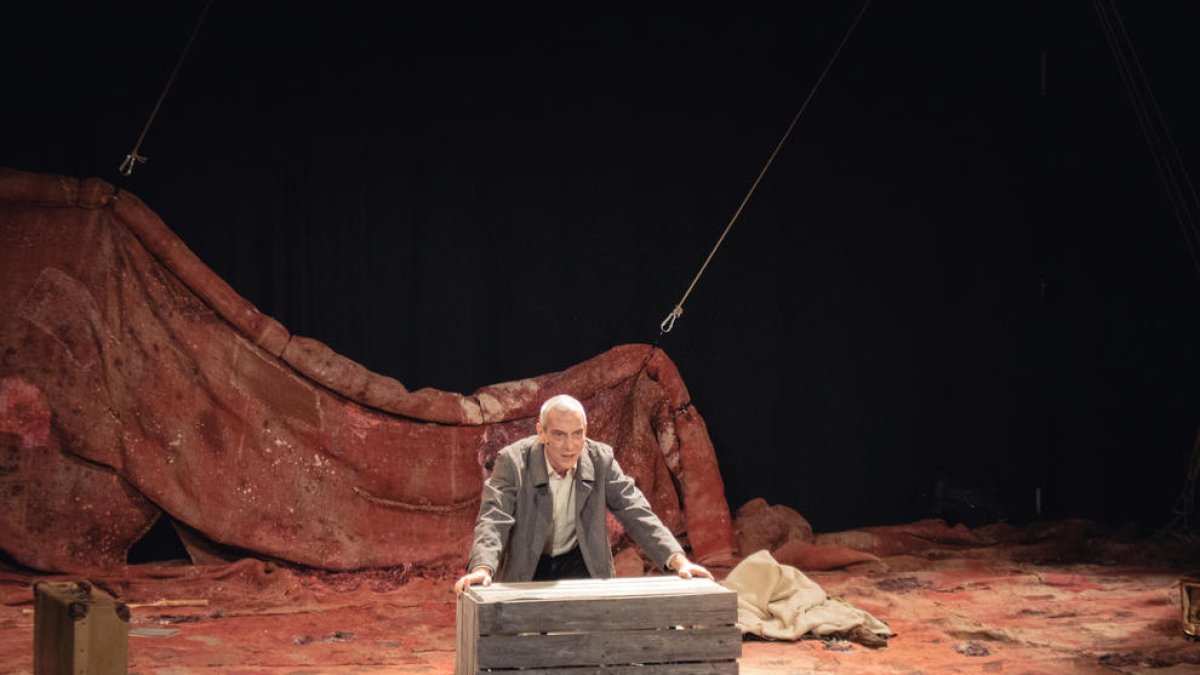 Ferran Castells, Actor