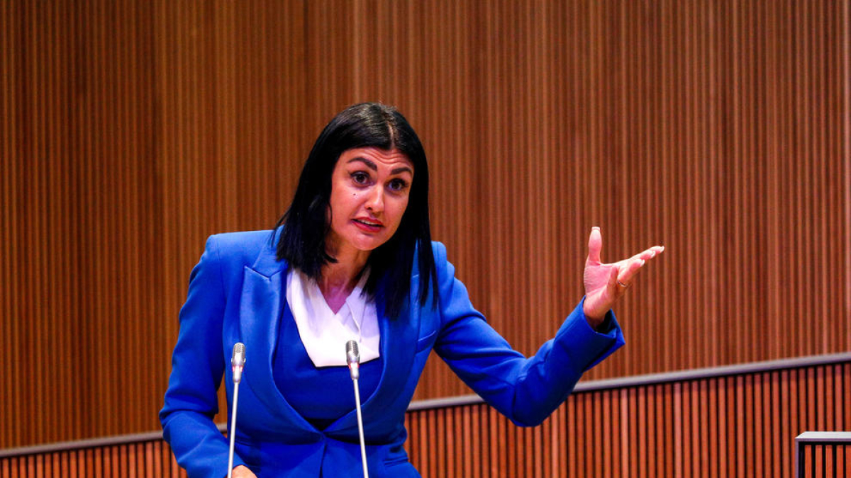 Carine Montaner al Consell General.