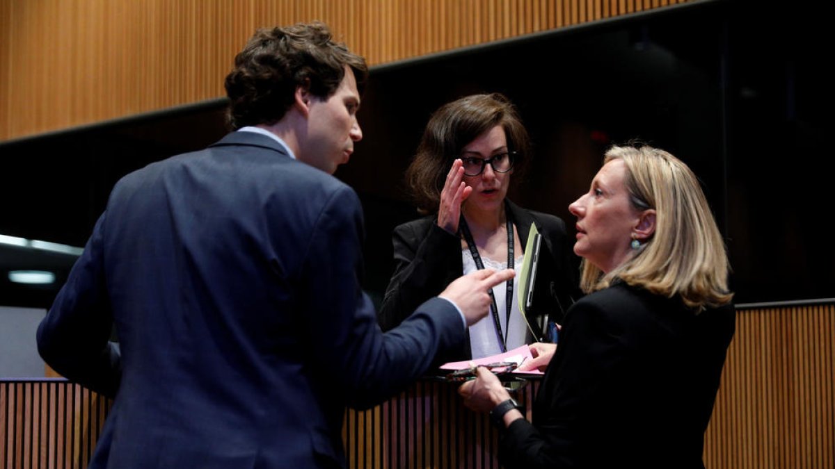 Núria Segués al Consell General.