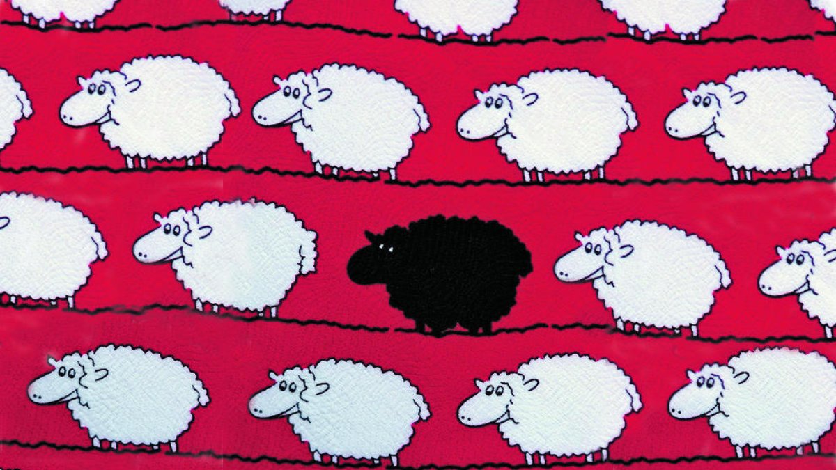 Hi ha qui té el desig de tenir cura d'una ovella esgarriada, de redimir el fatxenda del grup