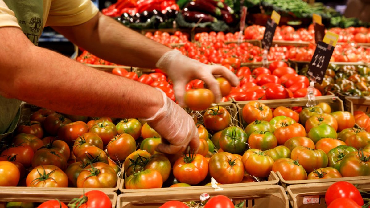 El cost elevat dels productes de l'alimentació preocupa cada vegada més entre la població.