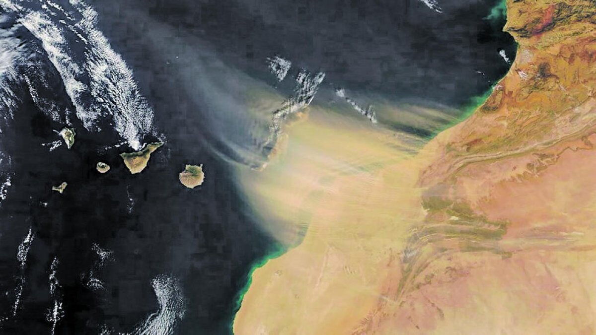 Les partícules són un bon fertilitzant natural