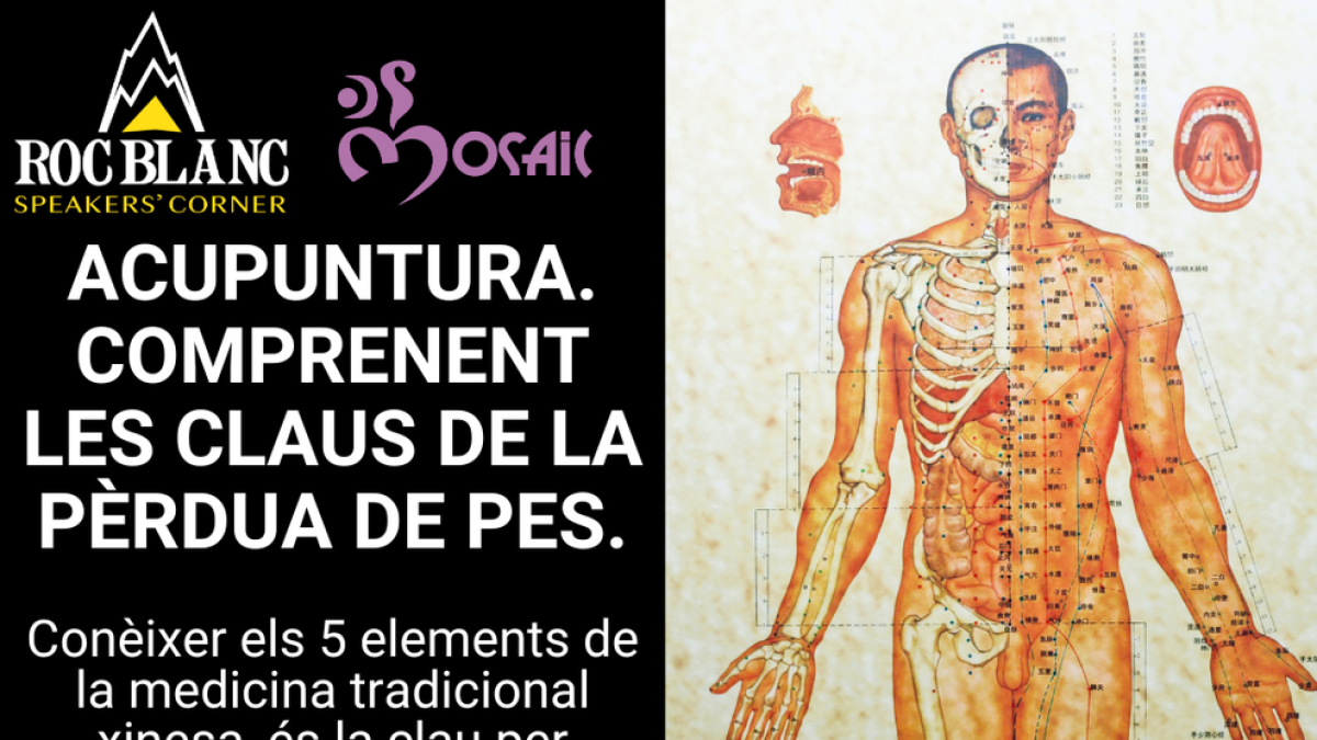 'Acupuntura. Comprenent les claus de la pèrdua de pes'