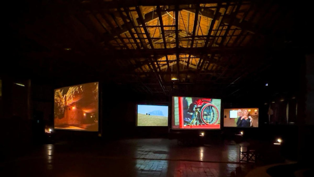 Una exposició del L'Andart.