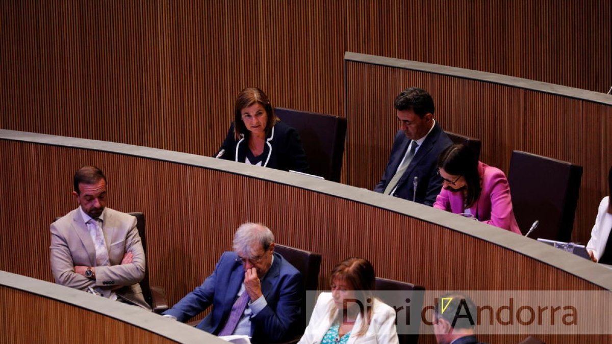 El Govern en la sessió de control avui al Consell General