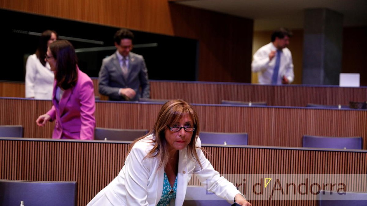 La ministra Conxita Marsol avui al Consell General