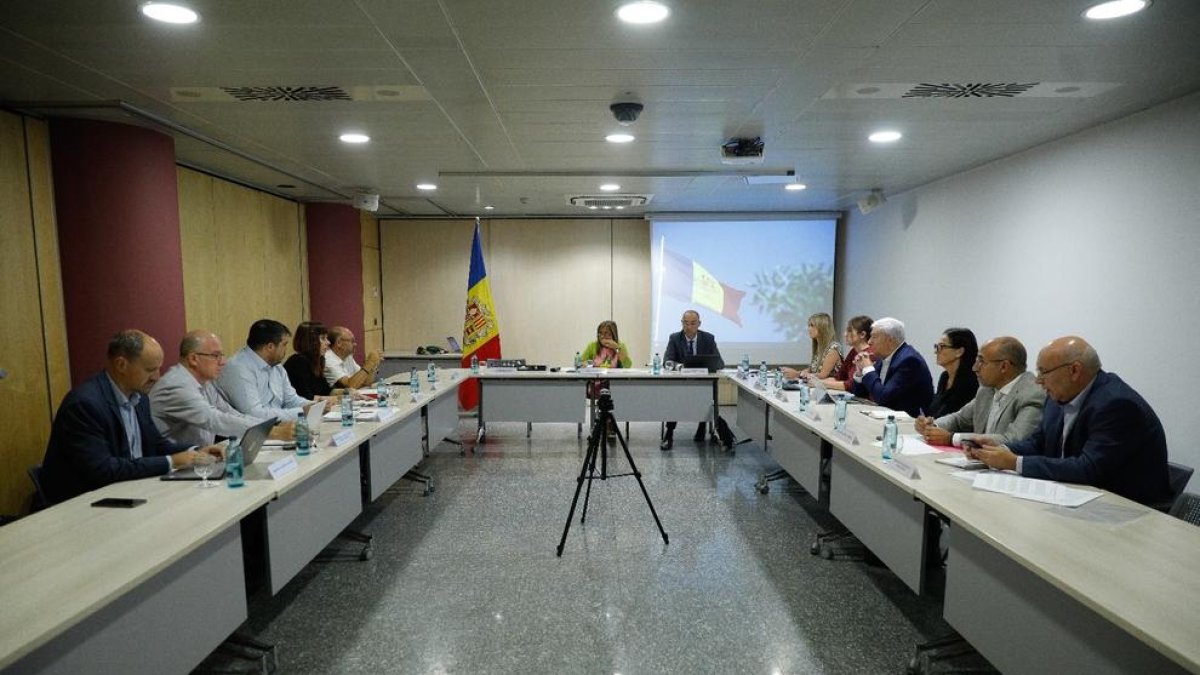 Reunió del Consell Econòmic i Social